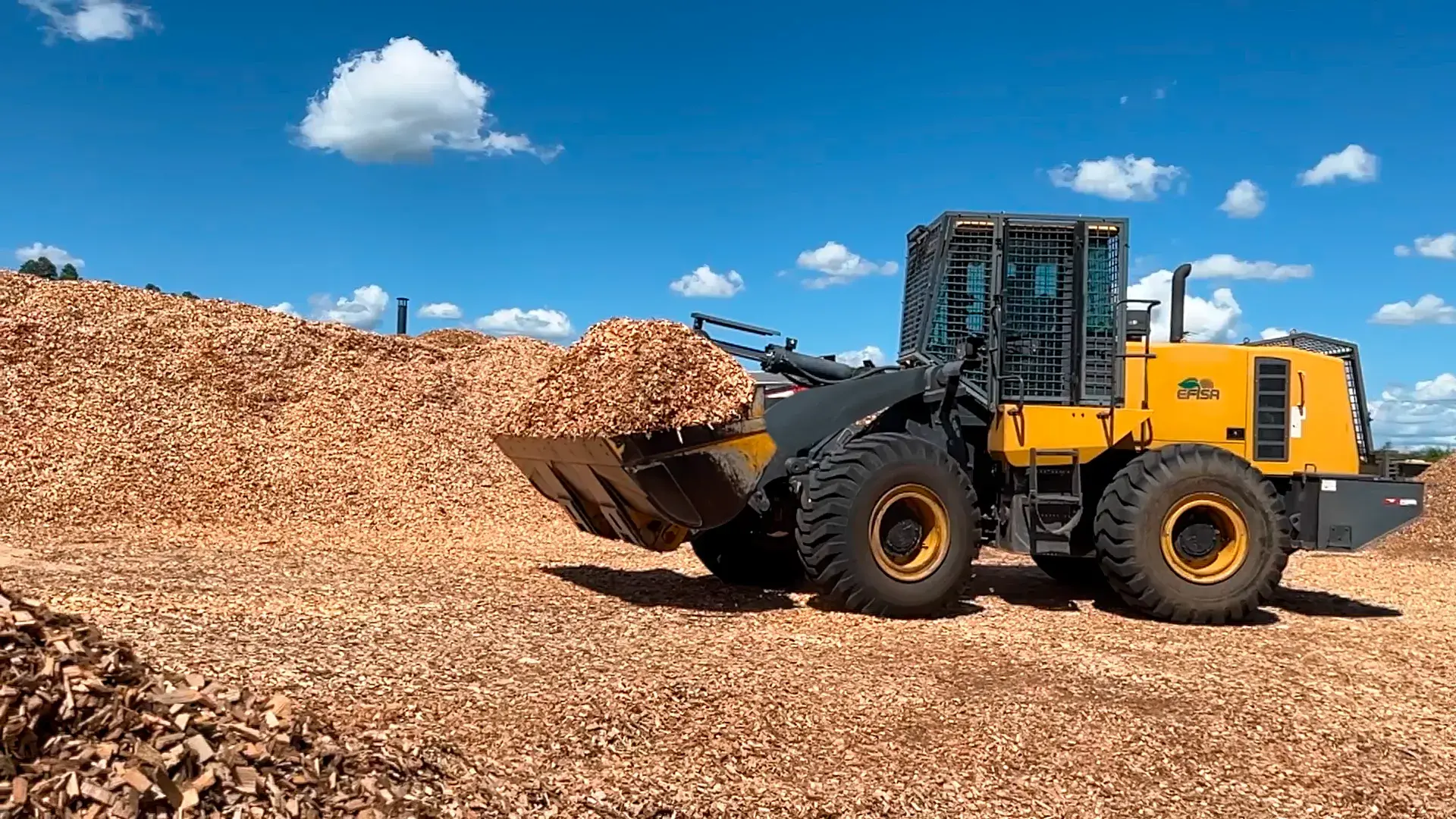 Empresa Forestal e Industrial SA biomassa