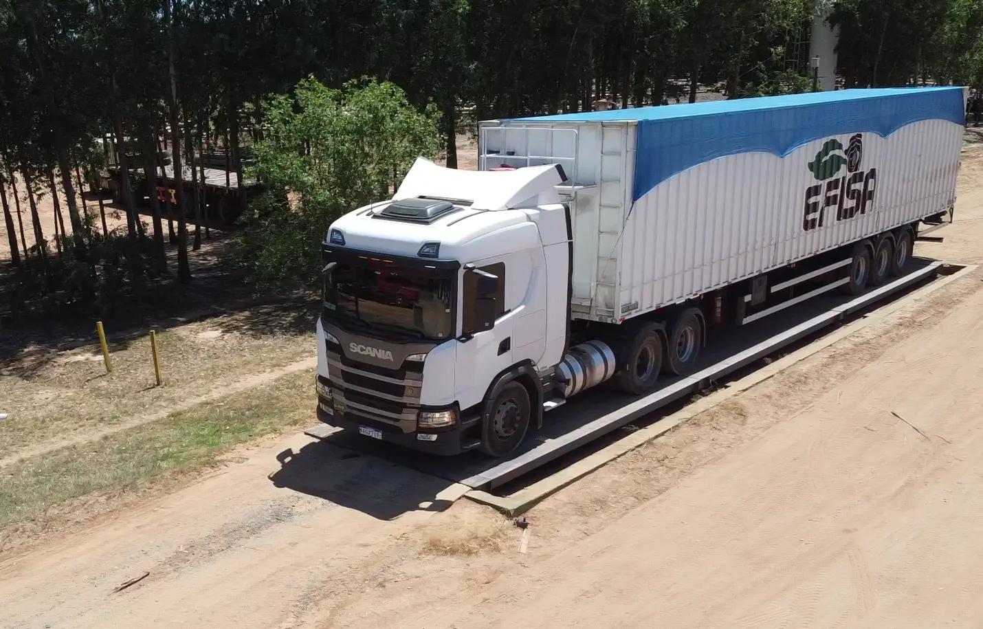 Empresa Forestal e Industrial SA biomassa