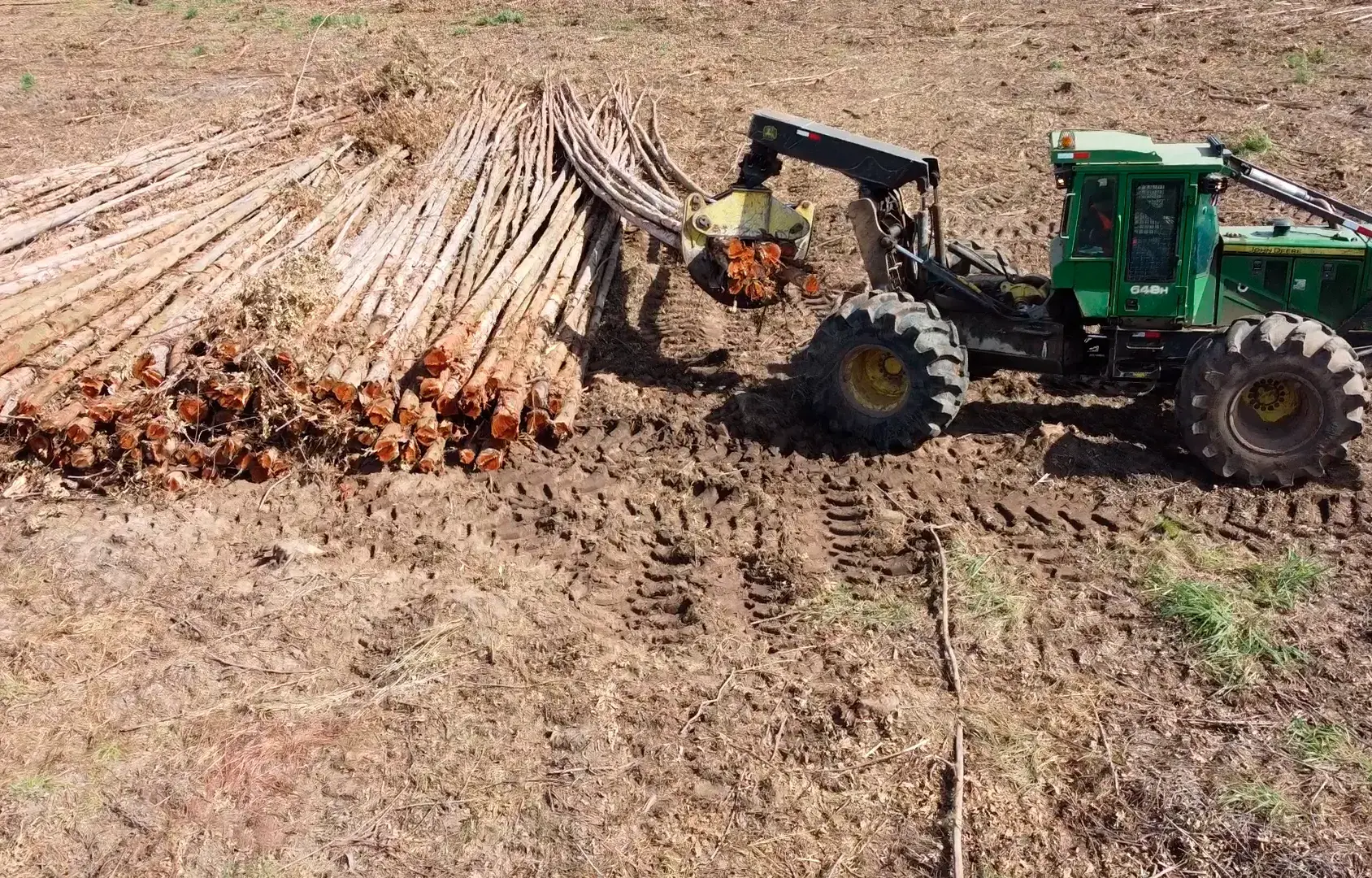 Empresa Forestal e Industrial SA colheita florestal mecanizada