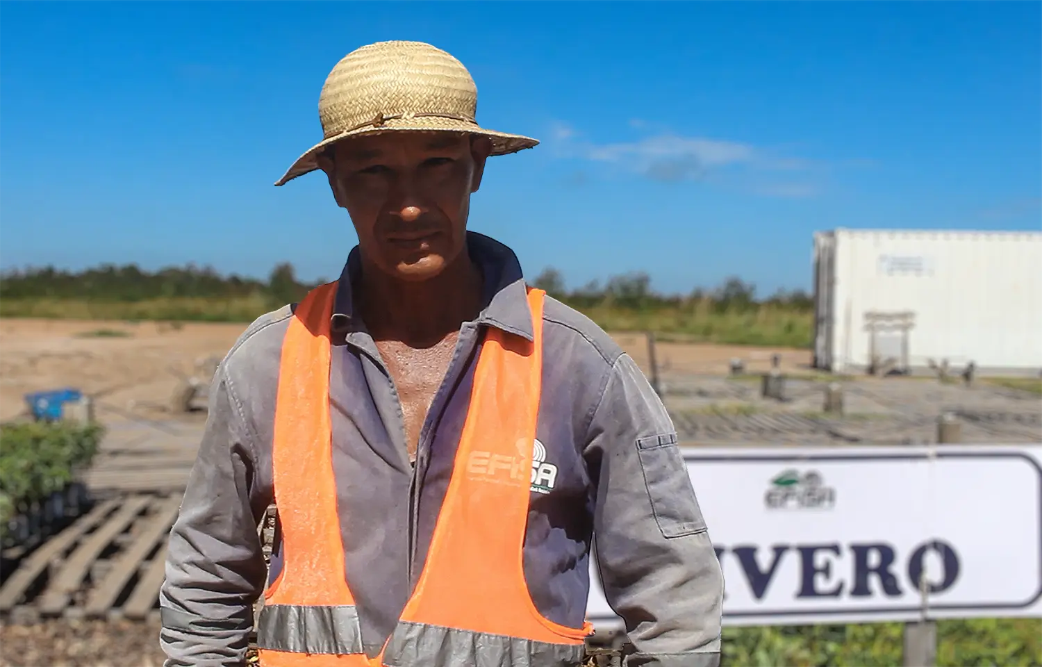 Empresa Forestal e Industrial SA comunidade