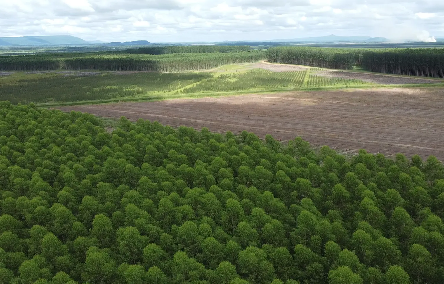 Empresa Forestal e Industrial SA esg