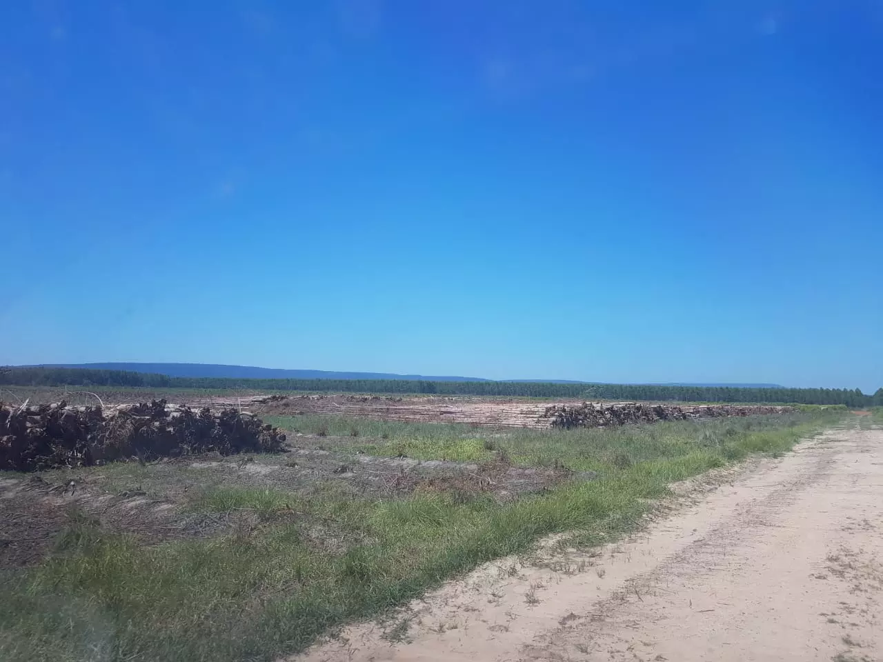 EFISA es la empresa forestal más completa de Paraguay.