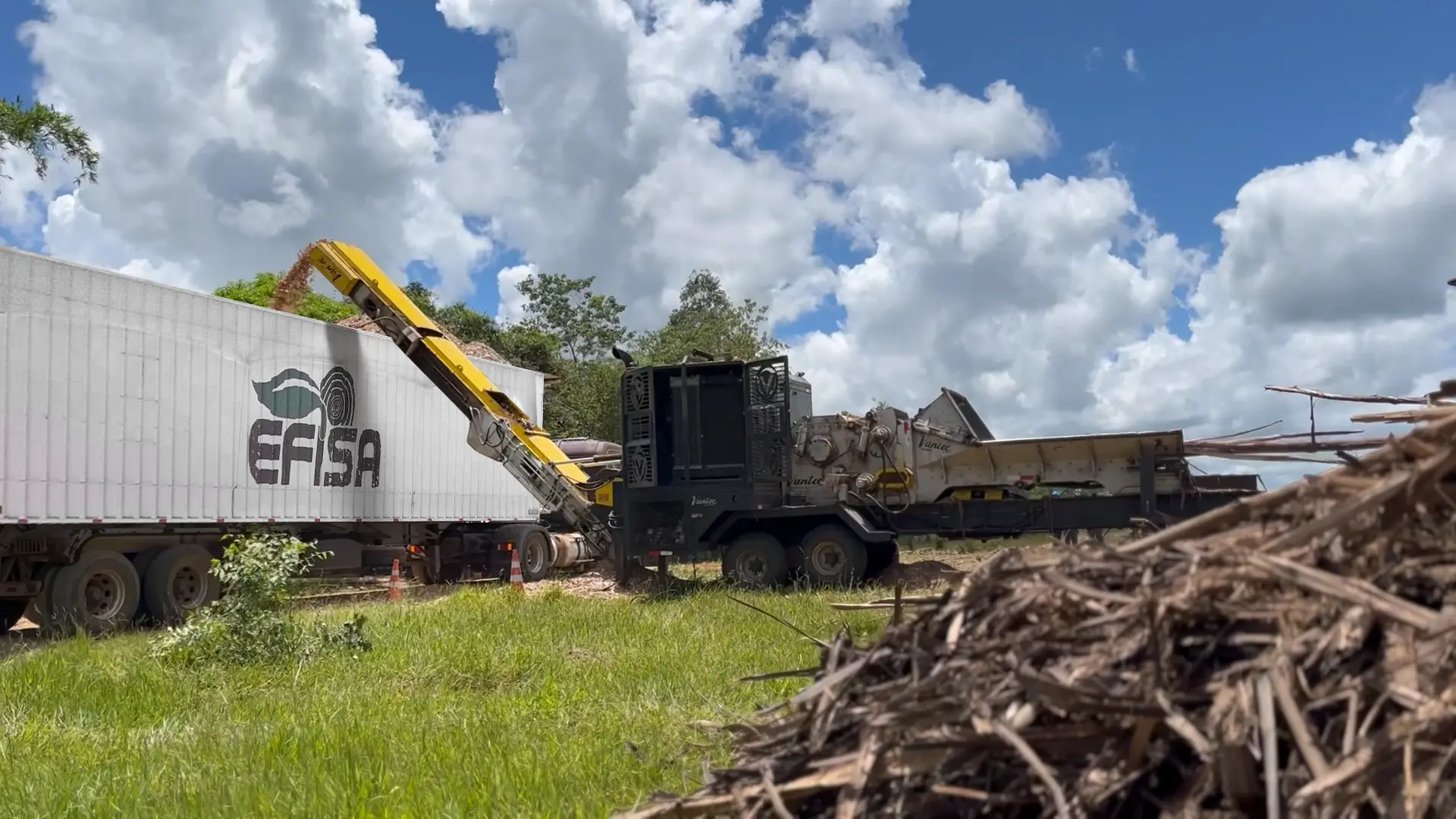 Empresa Forestal e Industrial SA producao de biomassa