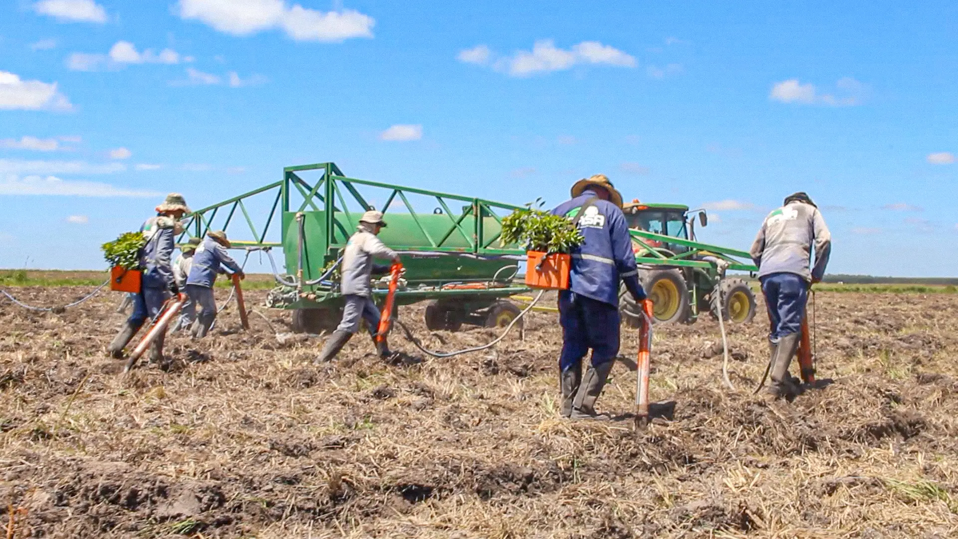 Empresa Forestal e Industrial SA plantacoes florestais